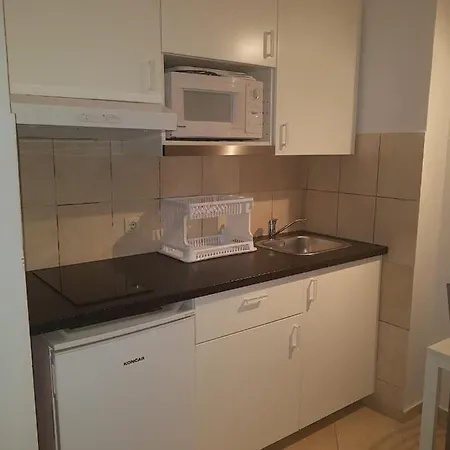 Apartment Janja Zubonja
