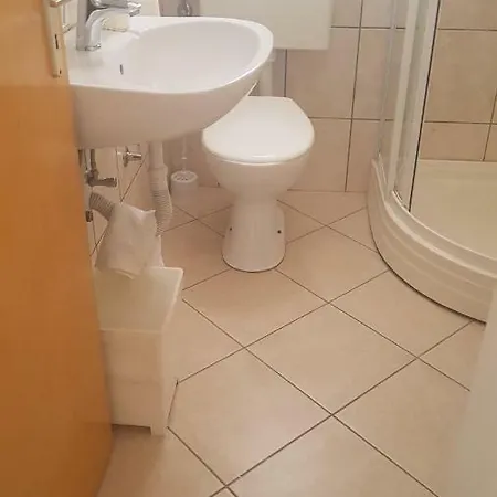 Janja Zubonja *